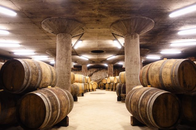 Barrel room at Edi Kante - two floors underground, carved from the limestone rock